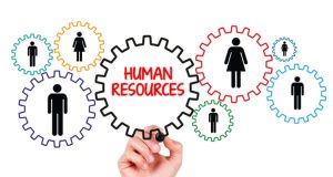 How To Decide Whether or Not to Outsource Your HR Department
